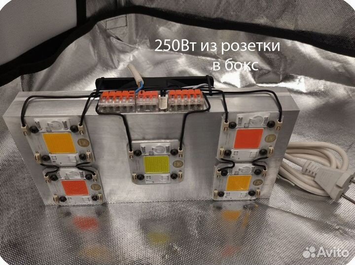 Фитолампы на полный цикл