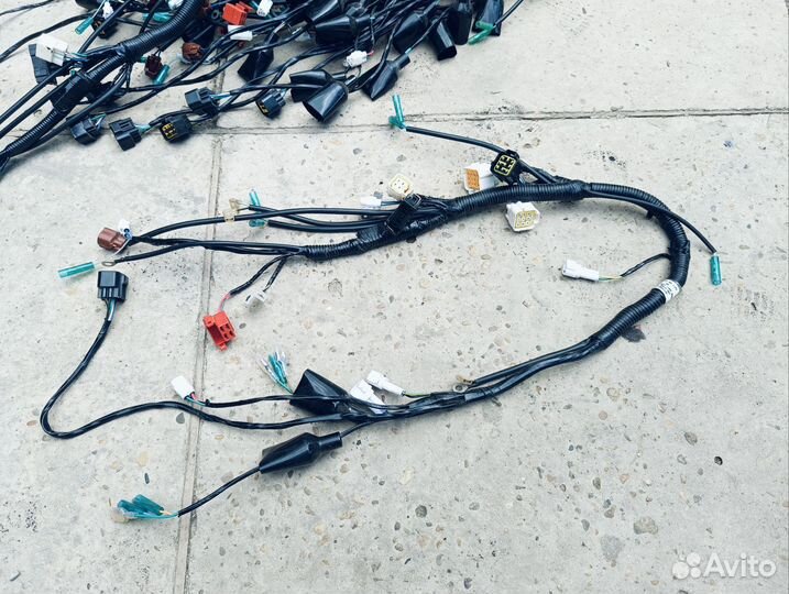 Коса проводка Minsk r250