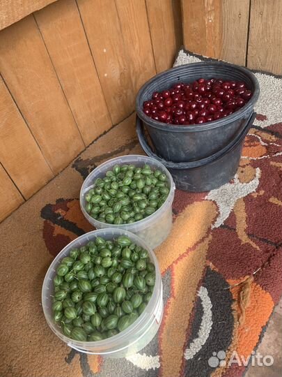 Ягоды вишни и крыжовника