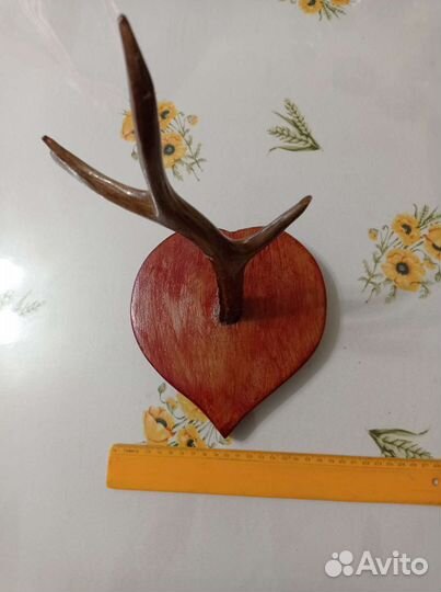 Рог -вешалка косули