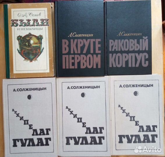 Моноклон. В. Сорокин. 2010