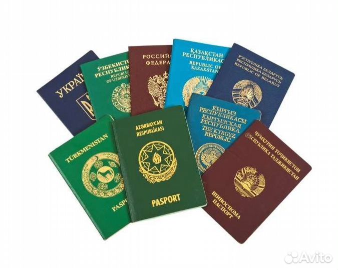 Миграционные услуги