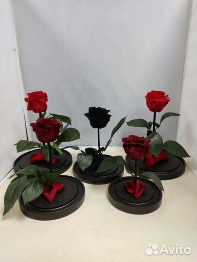Роза в колбе оптом