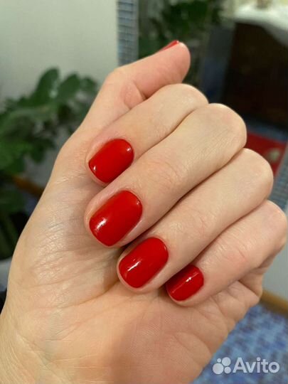 Маникюр и педикюр в студии