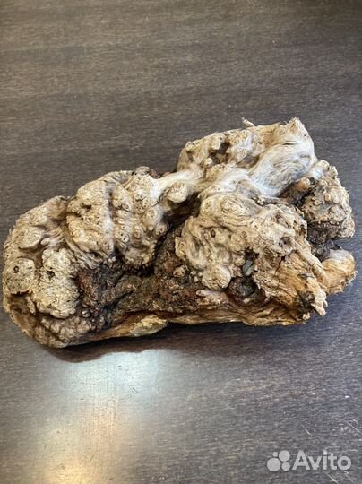 Дрифтвуд -морская коряга