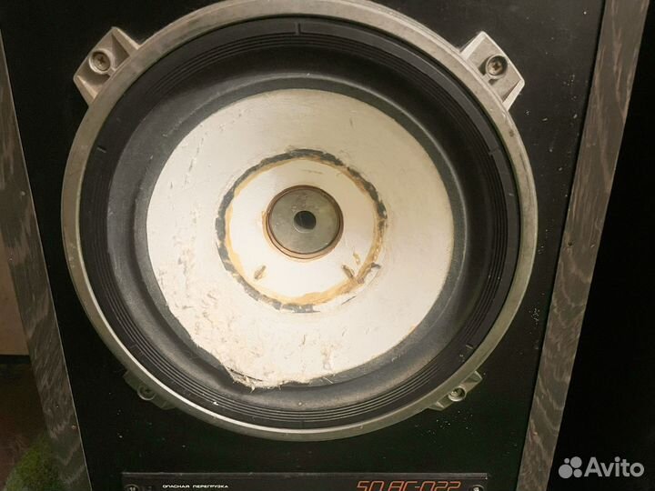 Амфитон ас 50-022