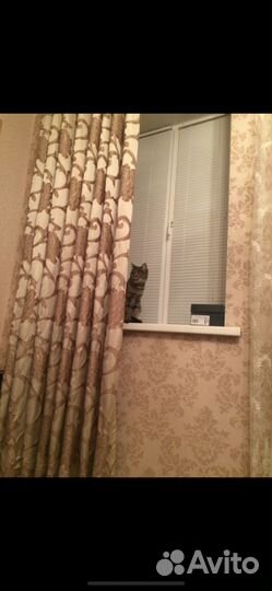 Шторы Портьеры