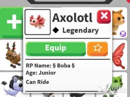 Роблокс адопт ми