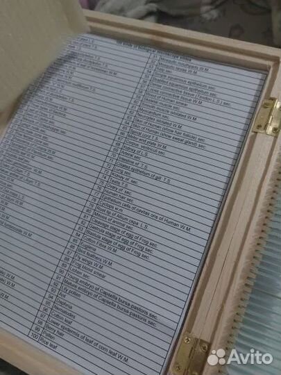 100шт образцов для просмотра в микроскоп