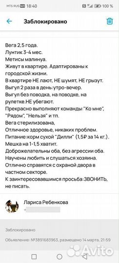 Собака в добрые руки отдам бесплатно