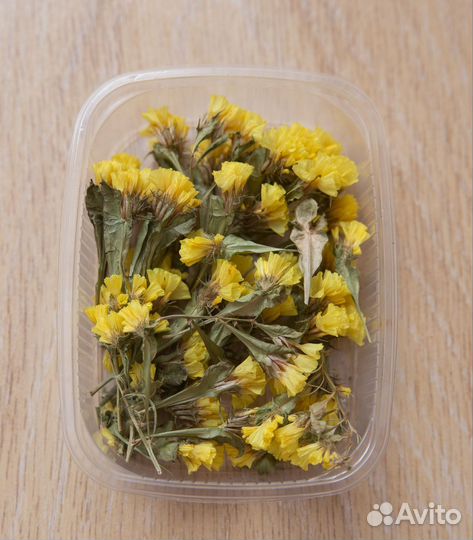 Сухоцветы для творчества