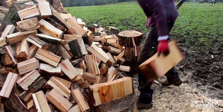 Дрова березовые