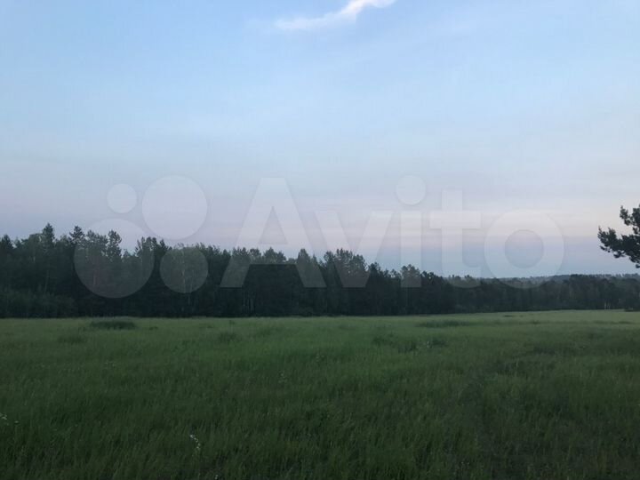 Участок 50 сот. (ИЖС)