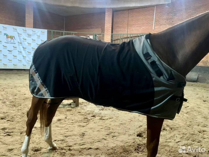 Попона флисовая для лошади 145р. Fouganza