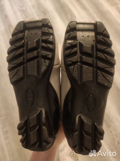 Лыжи беговые fisher