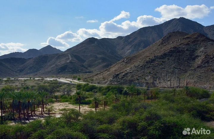 Путешествие Фуджейра на 7 ночей от. 4* завтраки