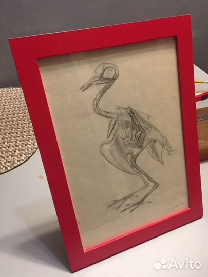 Рисунок карандаш графика, скелет цыпленка