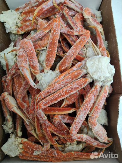 Краб стригун