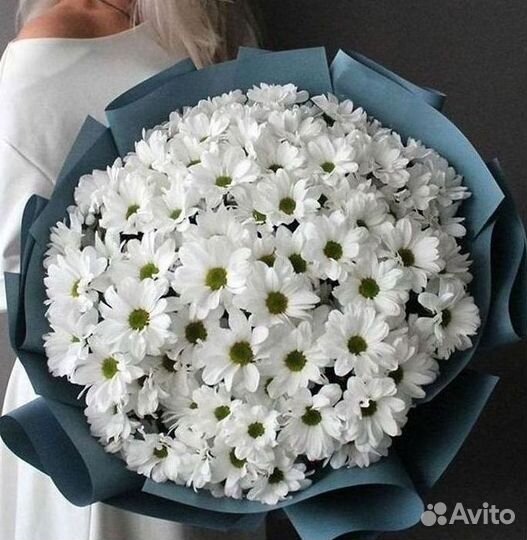 Хризантема. Букеты Цветы доставка