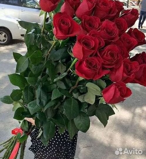 Высокие розы Гигантские розы Доставка цветов