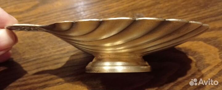 Икорница ракушка