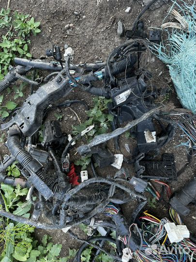 Проводка моторного отсека Мазда 6 gj