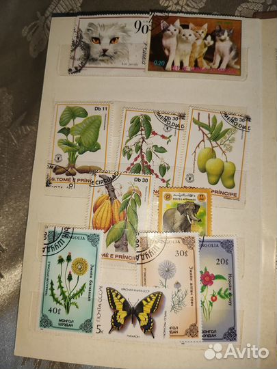 Альбом с марками бабочки животные растения