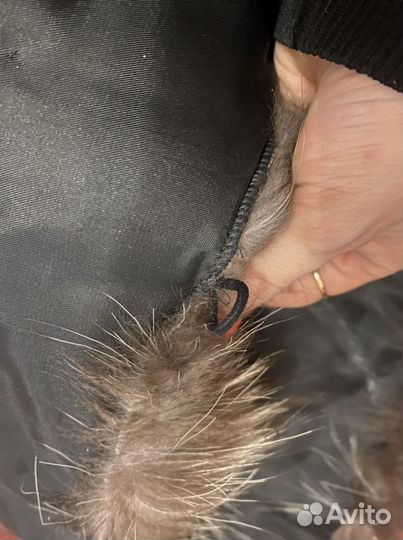 Меховой воротник лиса