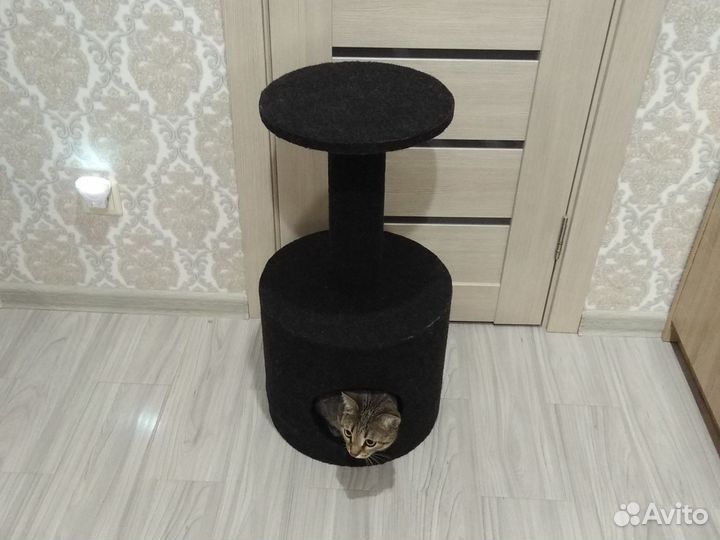 Домик для кошки