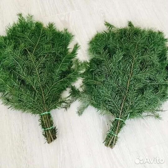 Пихтовые веники