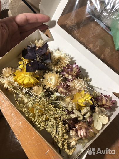 Сухоцветы для творчества