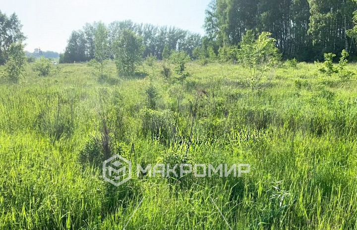 Участок 15 сот. (СНТ, ДНП)