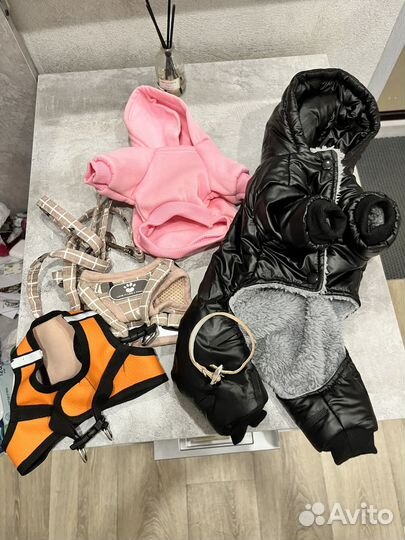 Одежда для собак