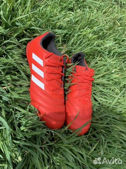 Бутсы Adidas Copa 20.4 fg