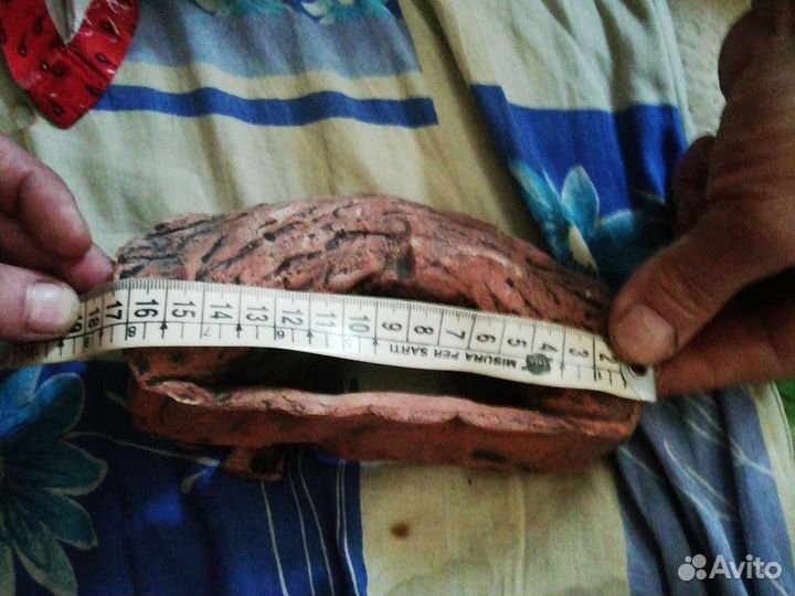 Грот и ракушки