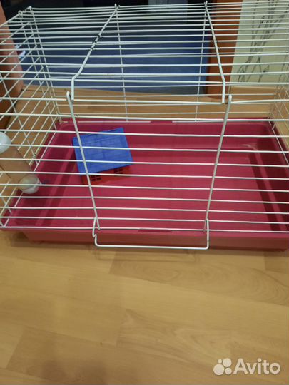 Клетка для грызунов очень большая