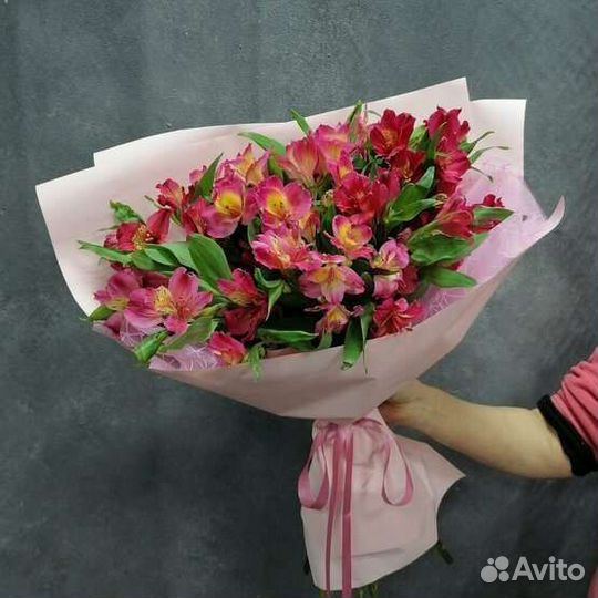 Альстромерия оптом и в розницу