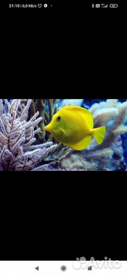 Билет в океанариум до 26 октября 2023 года