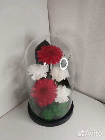 Цветы розы в колбе / живая роза в колбе