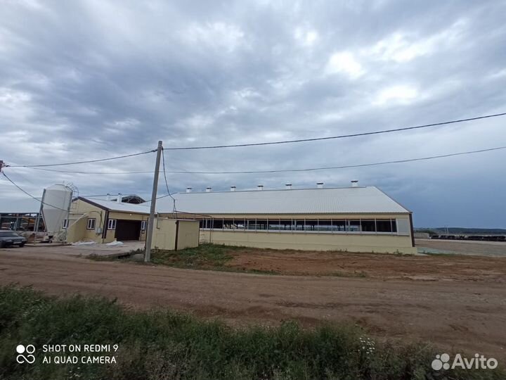 Строительство мясных ферм под ключ