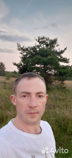 Администратор