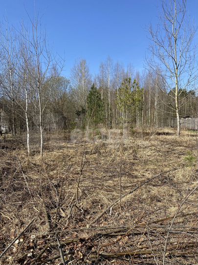 Участок 11,6 сот. (СНТ, ДНП)