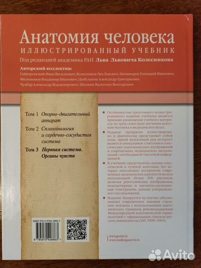 Анатомия человека