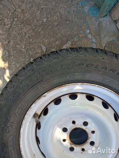 Cordiant Polar 2 175/70 R13 82T