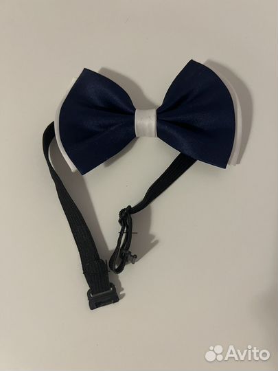 Бабочка новая