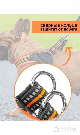 Анатомическая шлейка для собак Мони