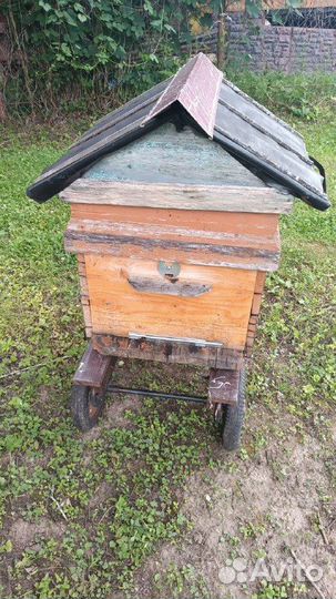 Улей Дадан 12 рамочный с магазином