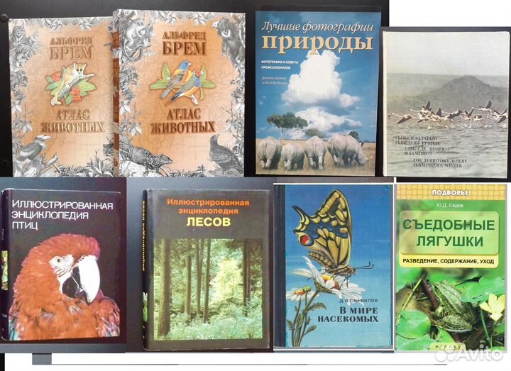 Книги природа животные насекомые география