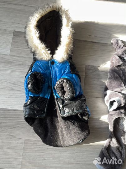 Одежда для маленьких пород собак