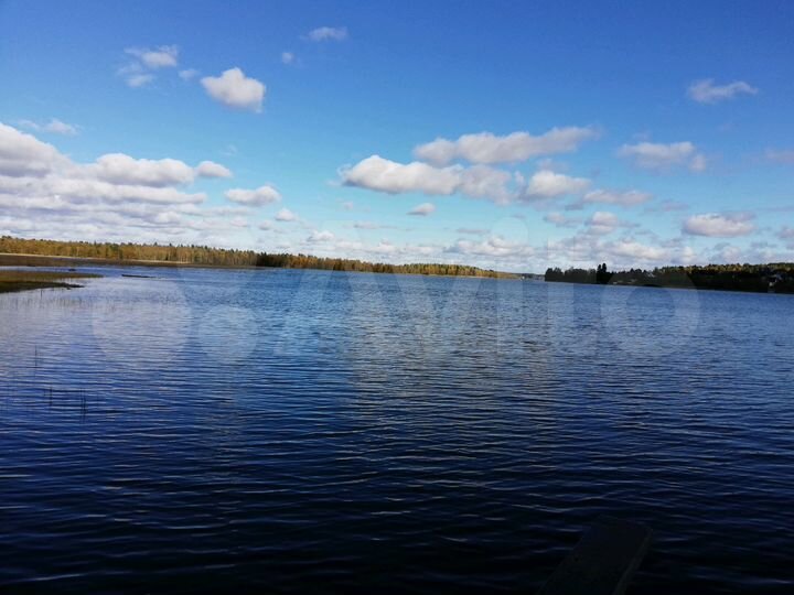 Дом 60 м² на участке 25 сот.